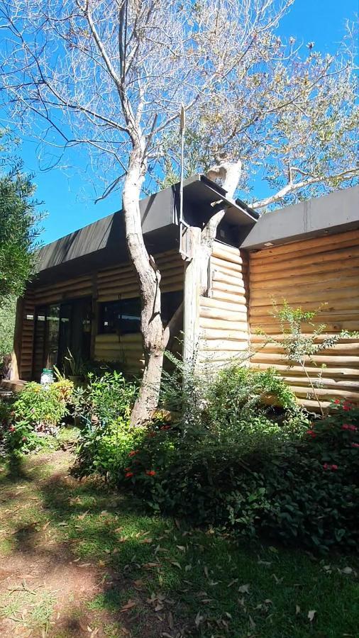 Chalet Los Troncos 波特苏埃洛 外观 照片